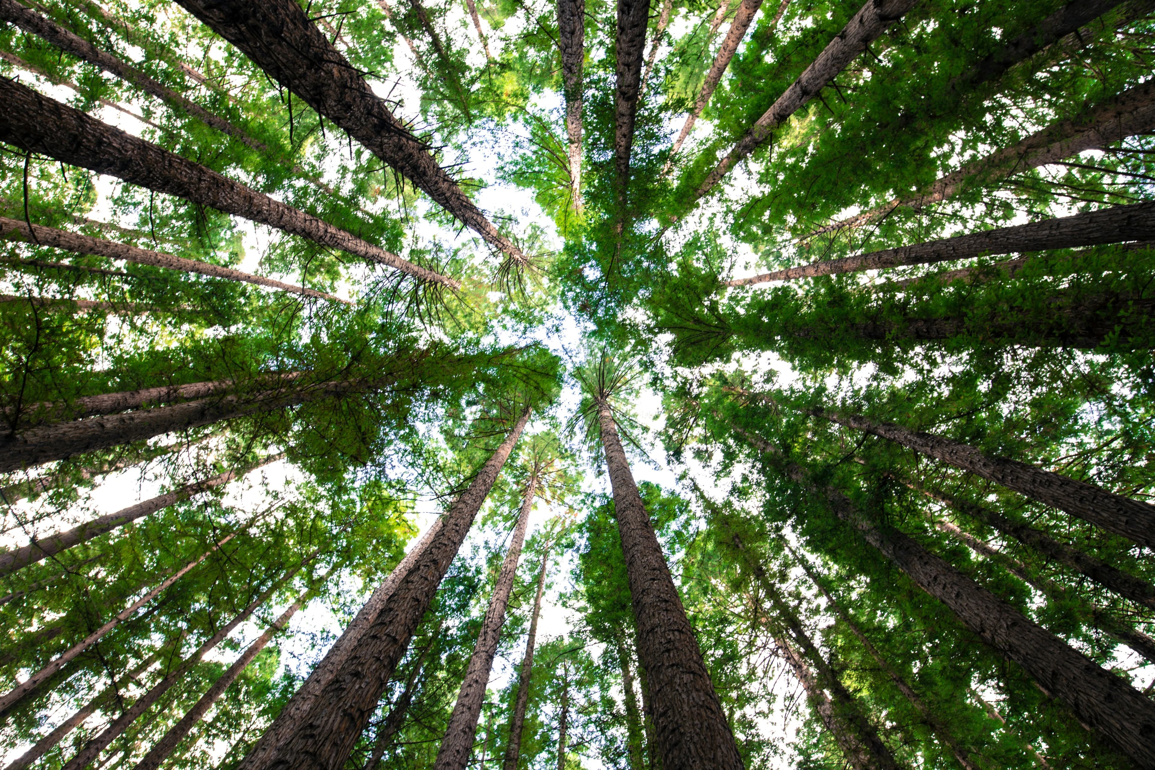 Resiliencia Climática